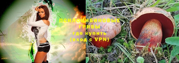 ALPHA PVP Арсеньев