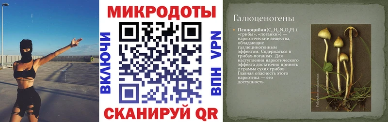 купить наркотики сайты  Шлиссельбург  omg ссылка  Галлюциногенные грибы прущие грибы 